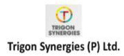 trigon-synergies